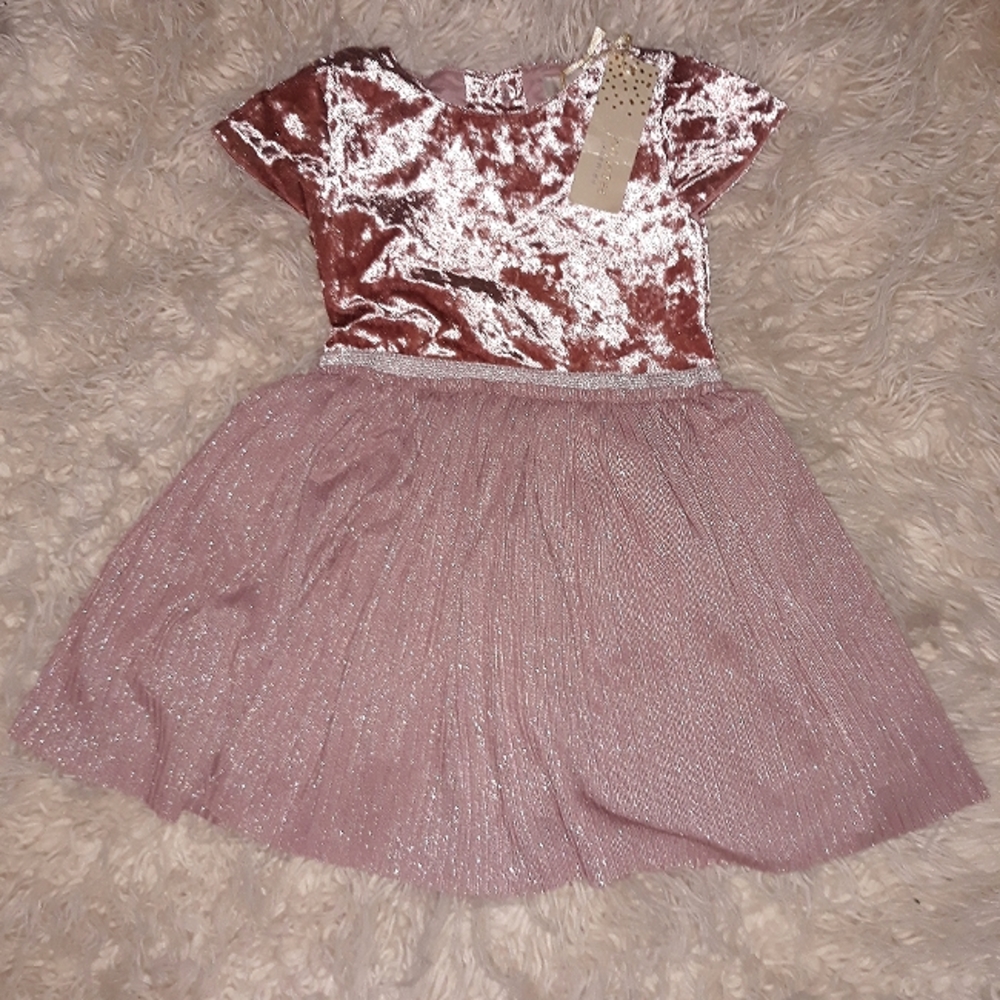 Nwt 18-24 mo velvet party dress